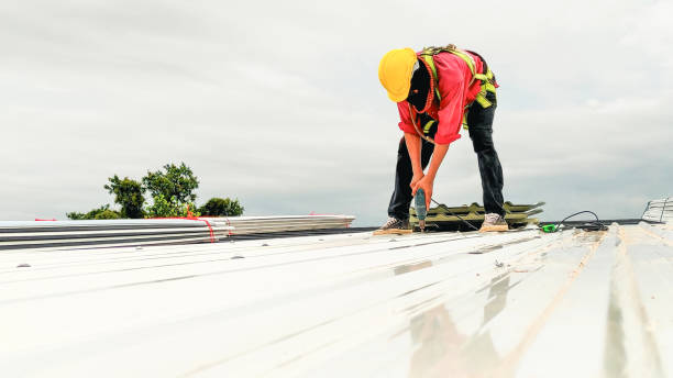 Best Wood Shake Roofing  in Pasadena, TX